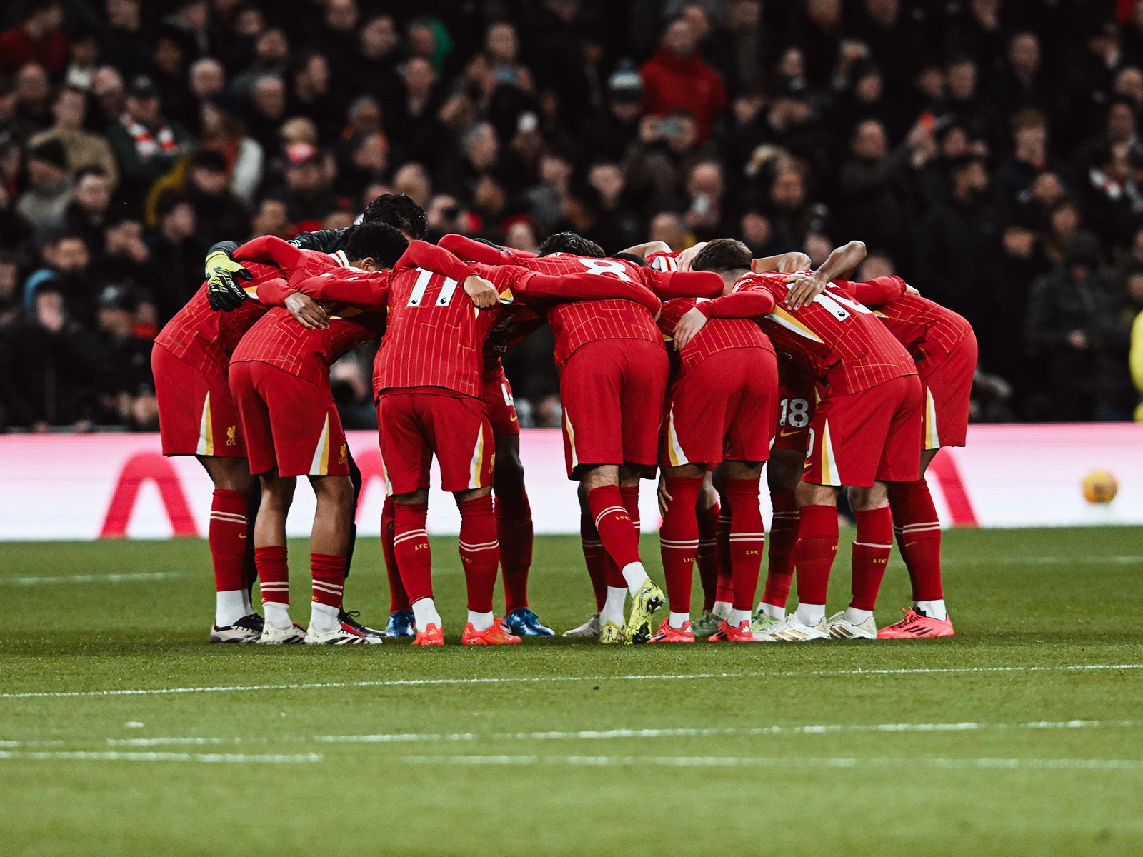 那些年，我们一起追的球星：济科（青春岁月里的偶像球星：济科）